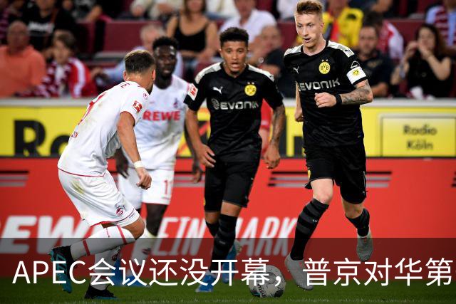 APEC会议还没开幕，普京对华第一个诉求公开，日本记者向中国提问